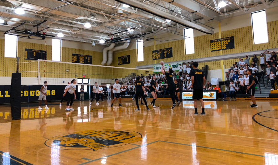 Highlights, Lowlights, Soundbites: Spirit Day 2019-20