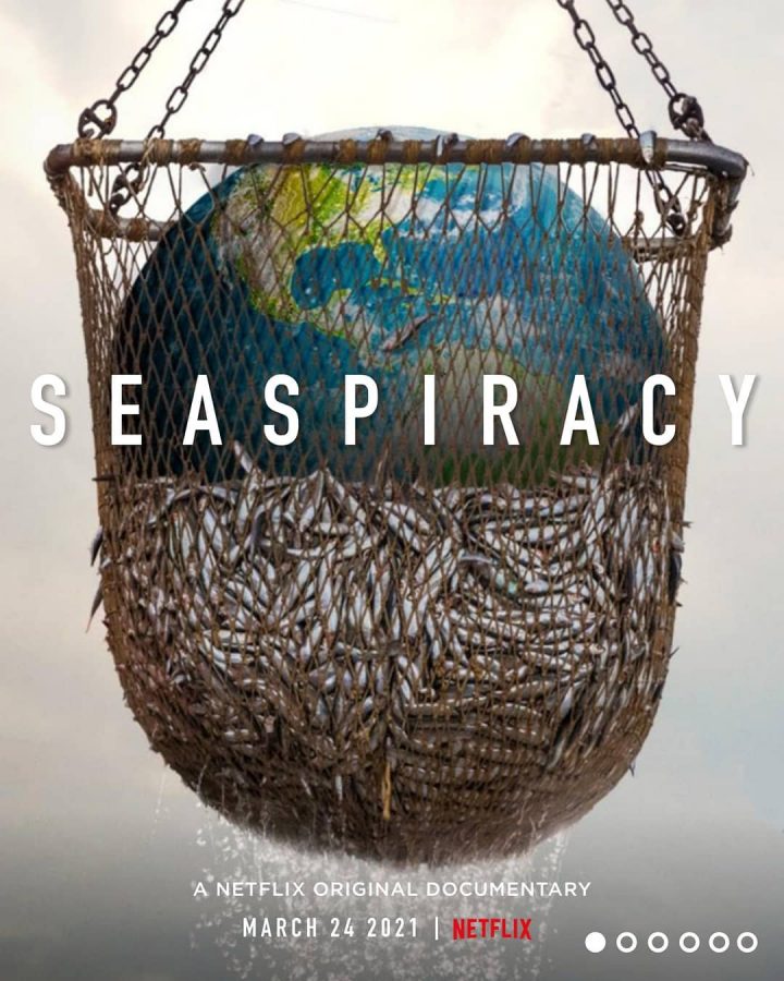 Seaspiracy: Has Ali Tabrizi truly helped to awaken humanity to the risks put into our ecosystem? Or has he wasted nearly an hour of your time?