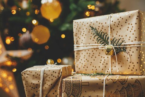 The Holiday Gift Guide for Every Interest