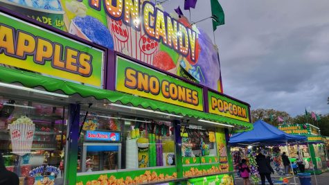My Honest Review of the 2023 Carnival