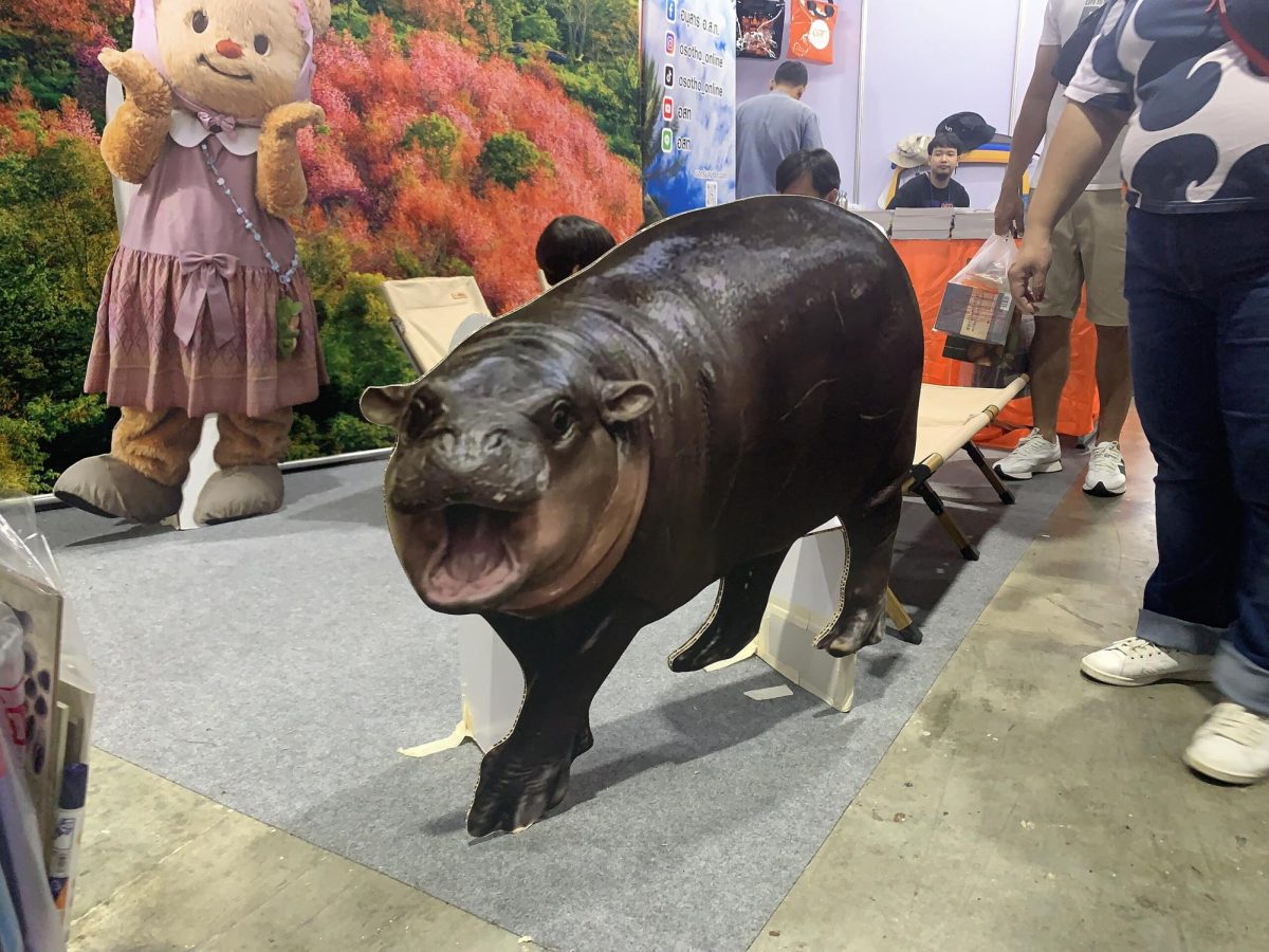 Popular Animals!