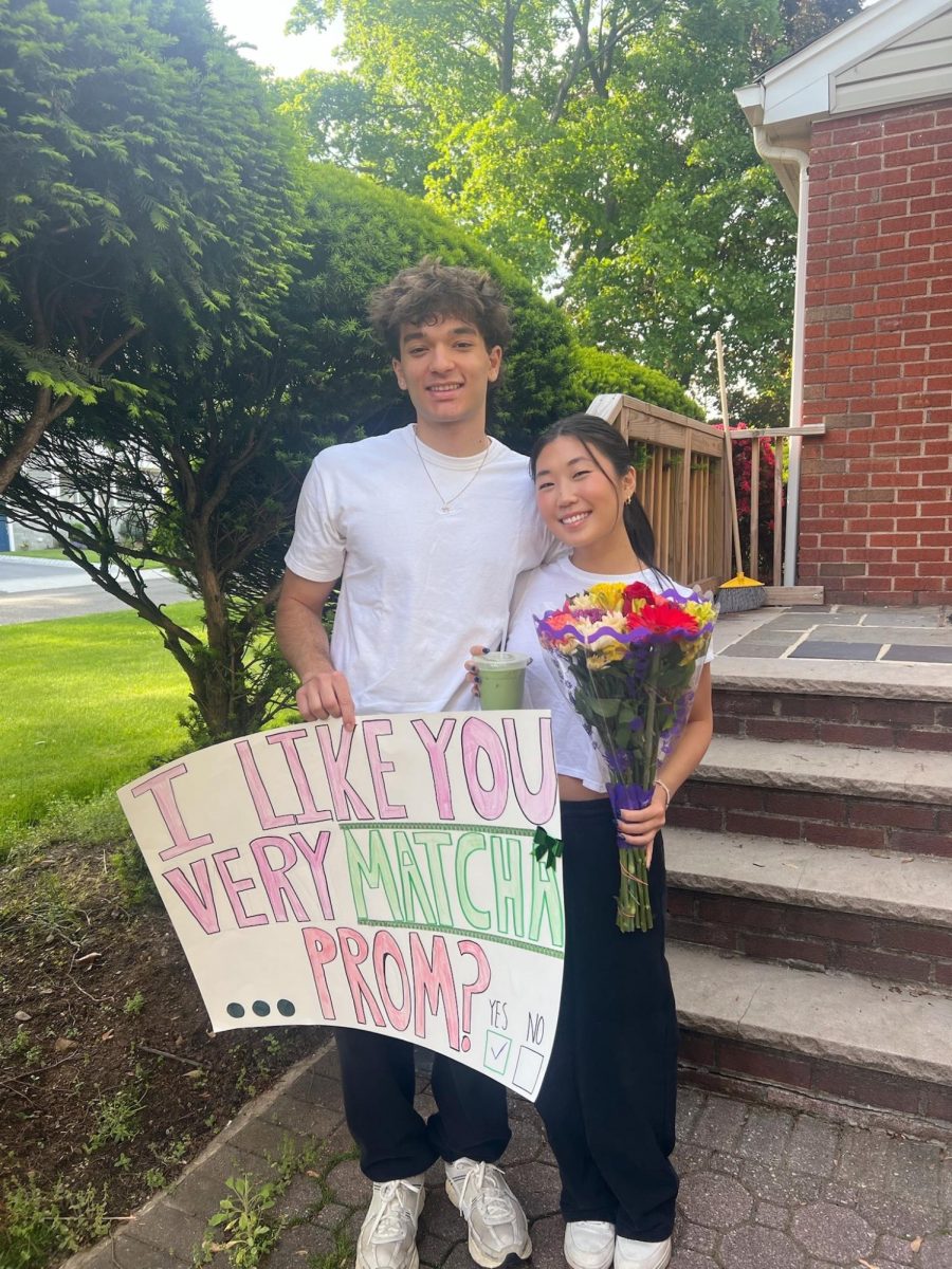 Will You Go To Prom With Me?
