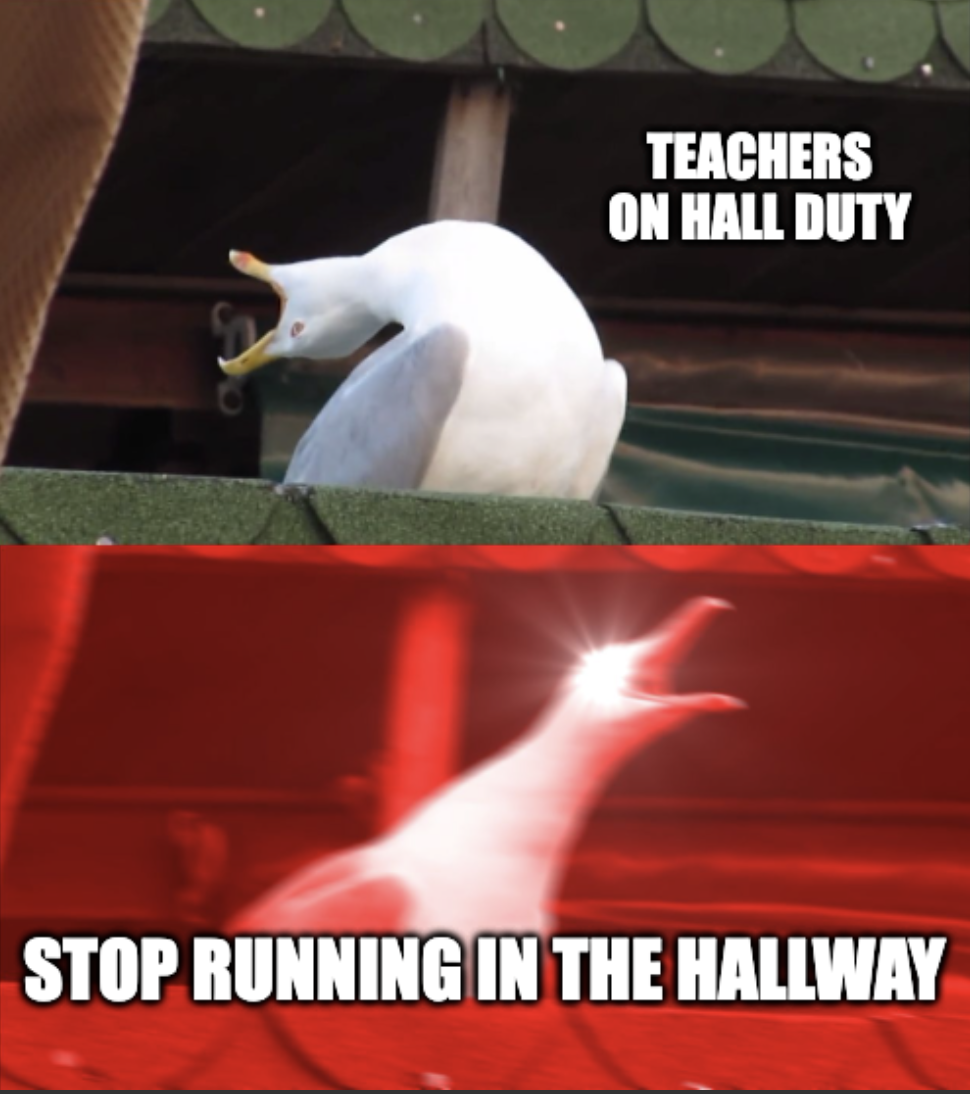 CHS be like...