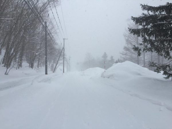 Blizzard Buries North Jersey, Cresskill Sees Nearly 20 Inches