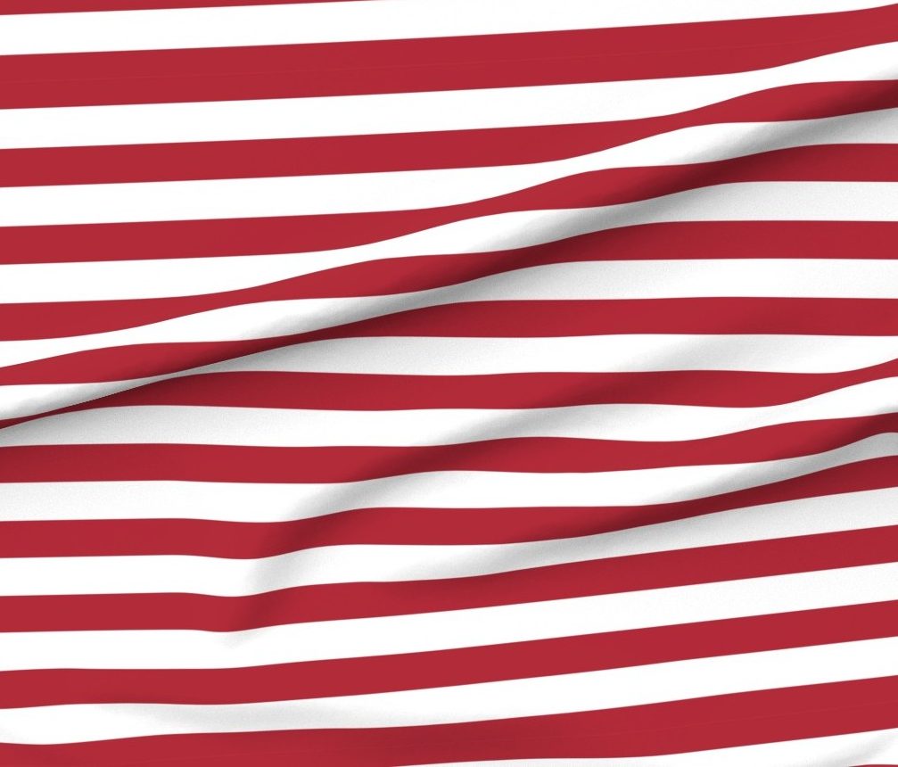 No, students should not be forced to stand for the pledge.